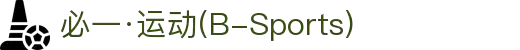 必一·运动(B-Sports)官方网站